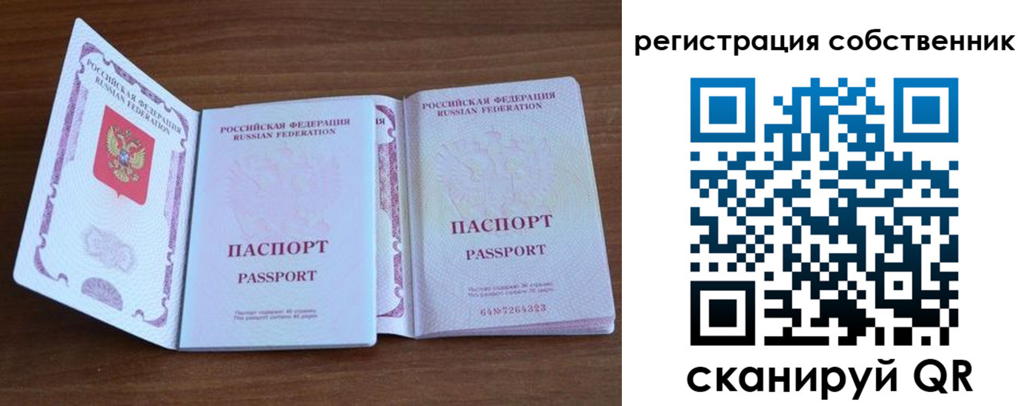 где прописаться в Элисте
